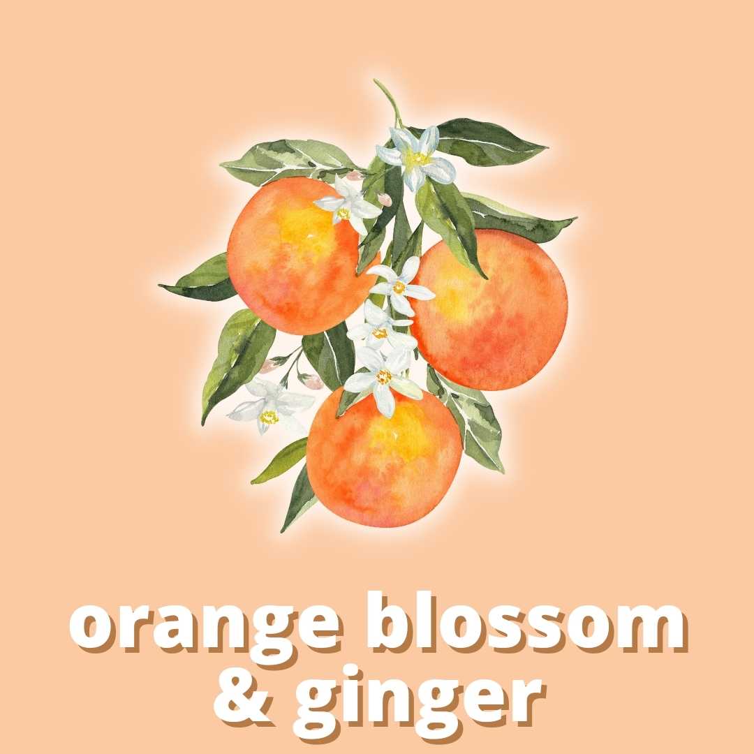 Orange Blossom & Ginger Fragrance