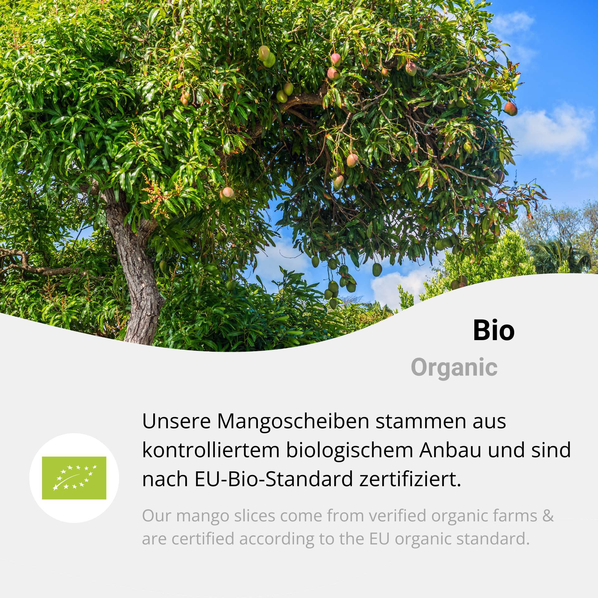 Organic Freeze-Dried Mango