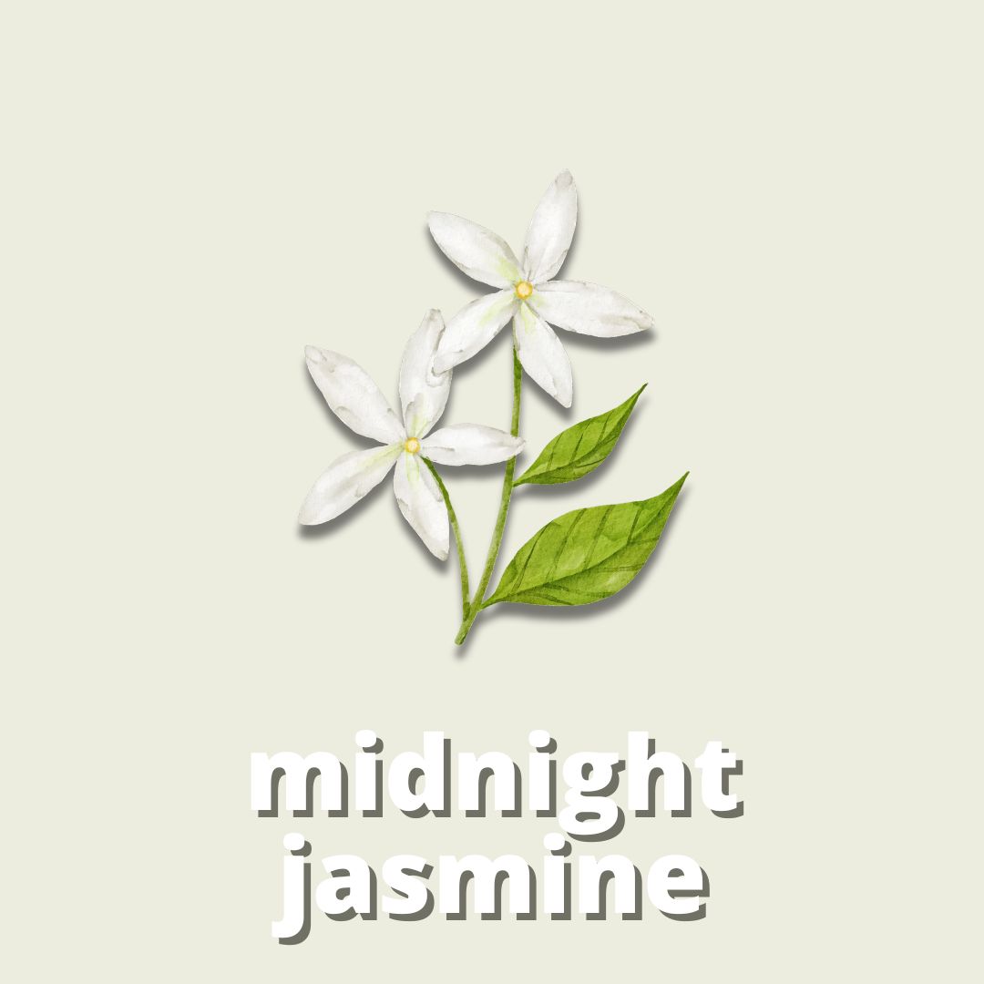 Midnight Jasmine Fragrance for candles & reed diffuser