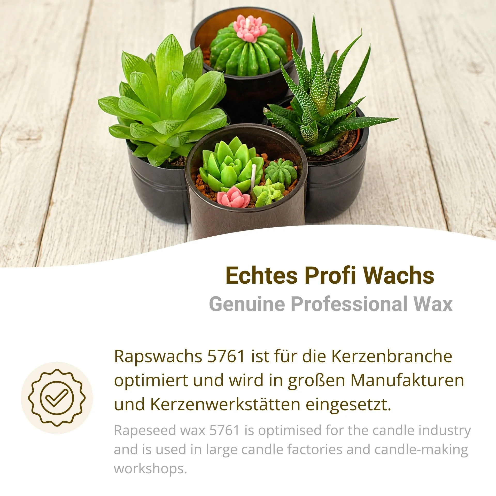 Rapswachs 5761 Pastillen