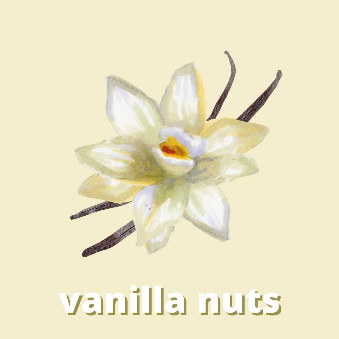 Vanilla Nuts Duftstoff für Kerzen & Kosmetik