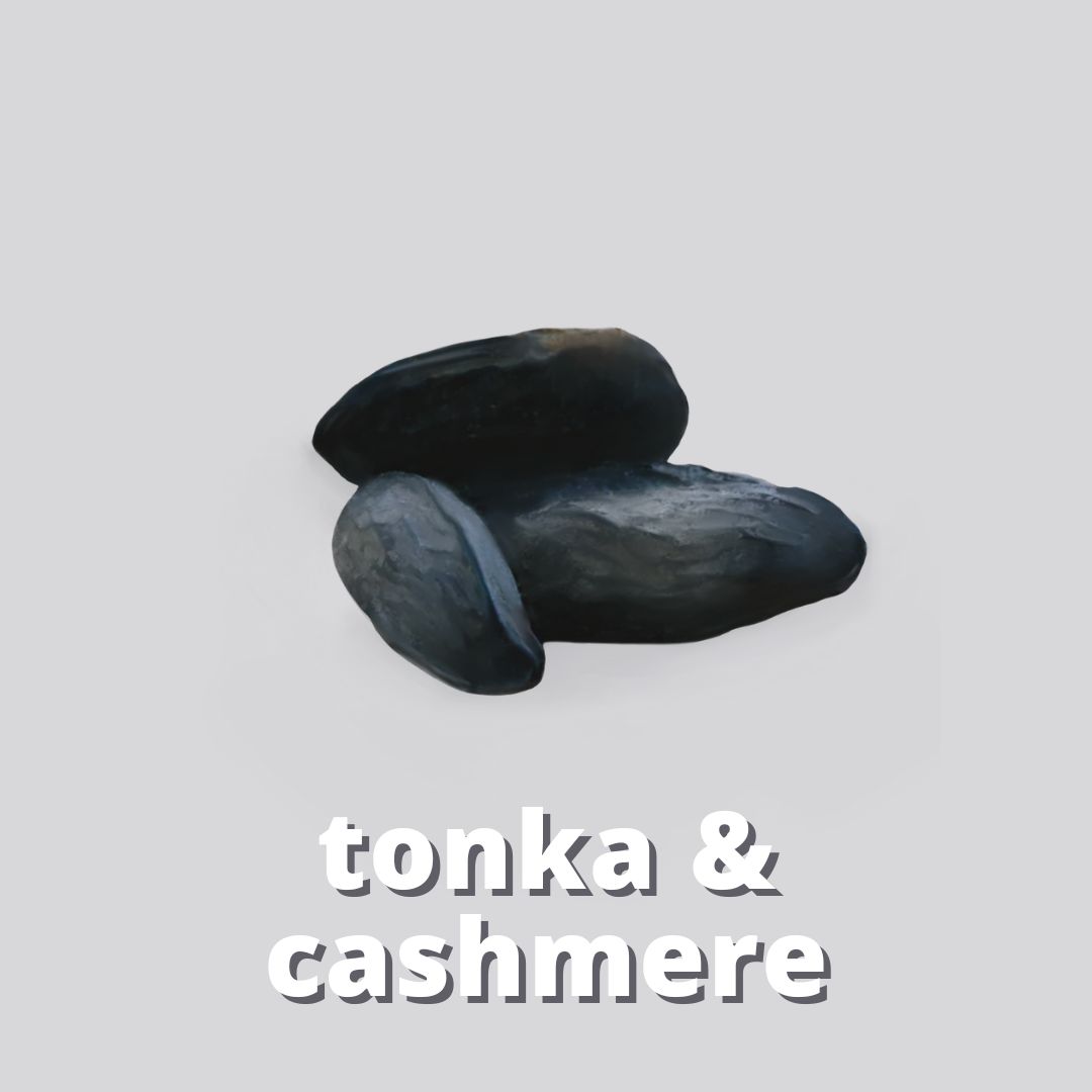 Tonka & Cashmere Fragrance for candles