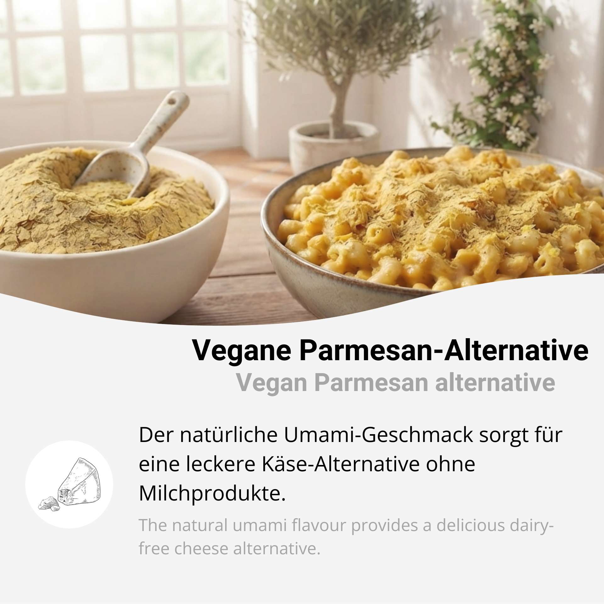 Yeast Flakes – Inactive Nutritional Yeast