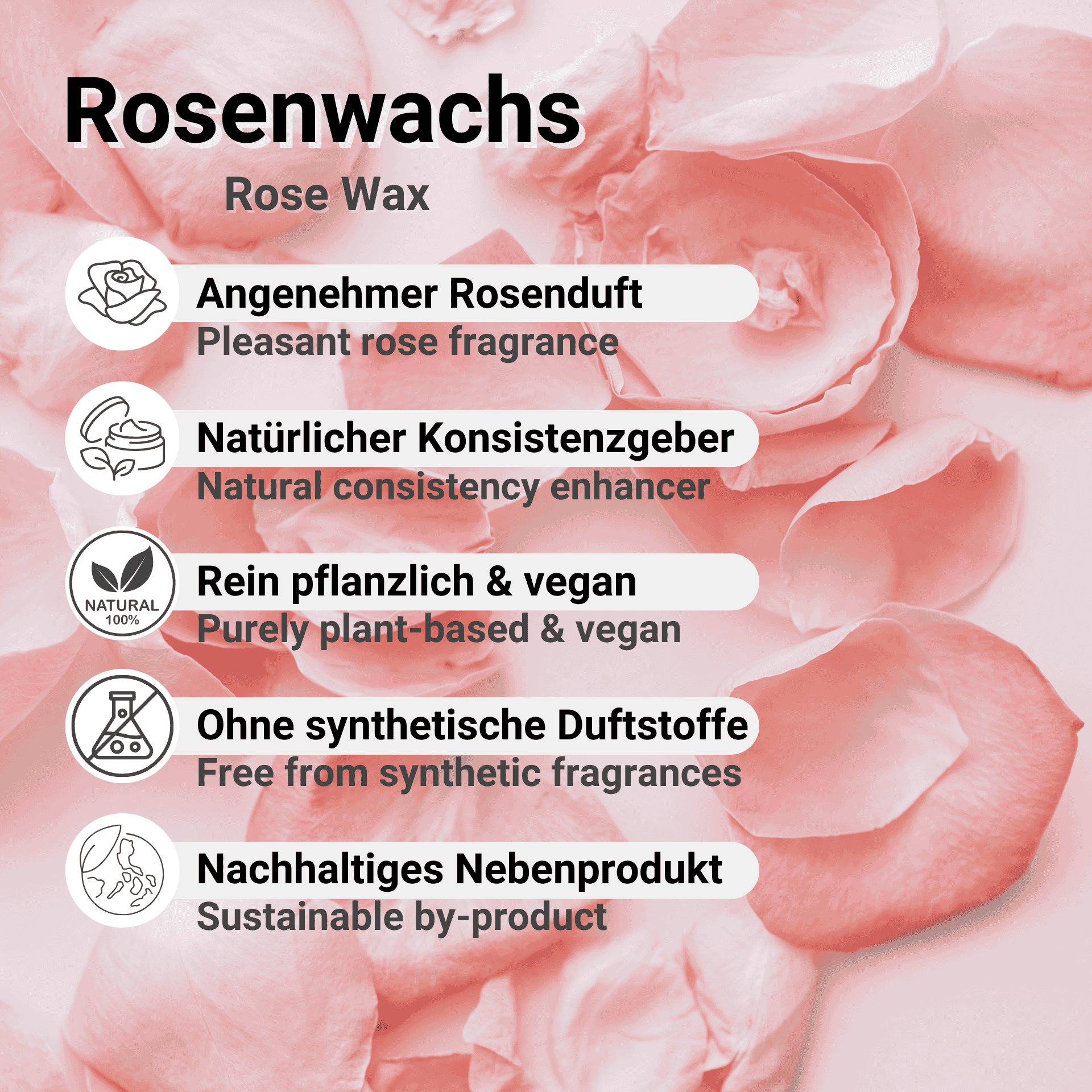 Rosenwachs Übersicht