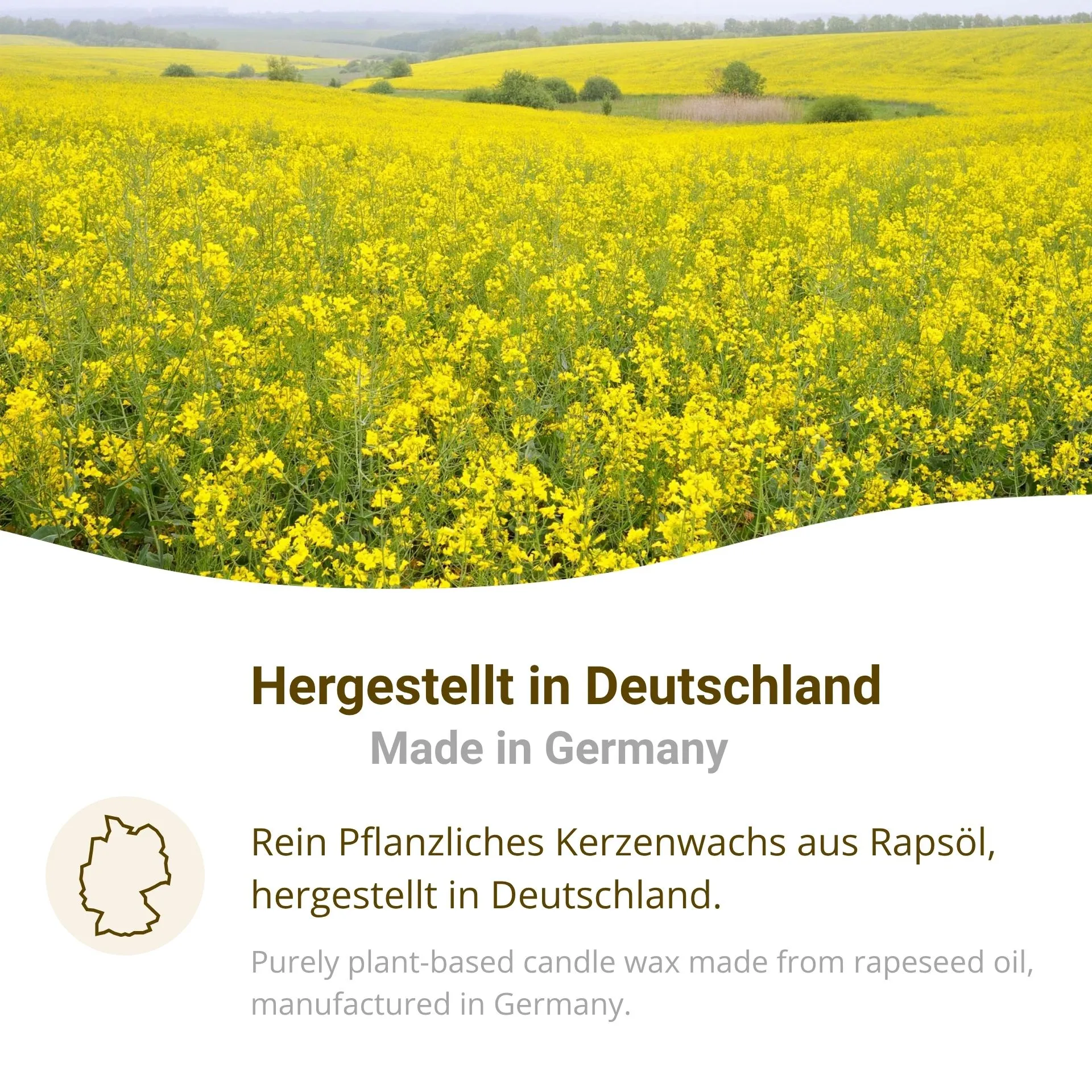 Rapswachs 5761 Pastillen