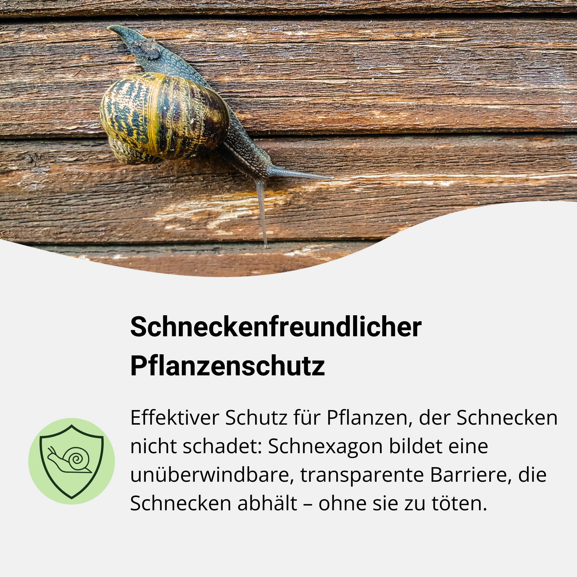 Schnexagon Snail Protection 375 ml