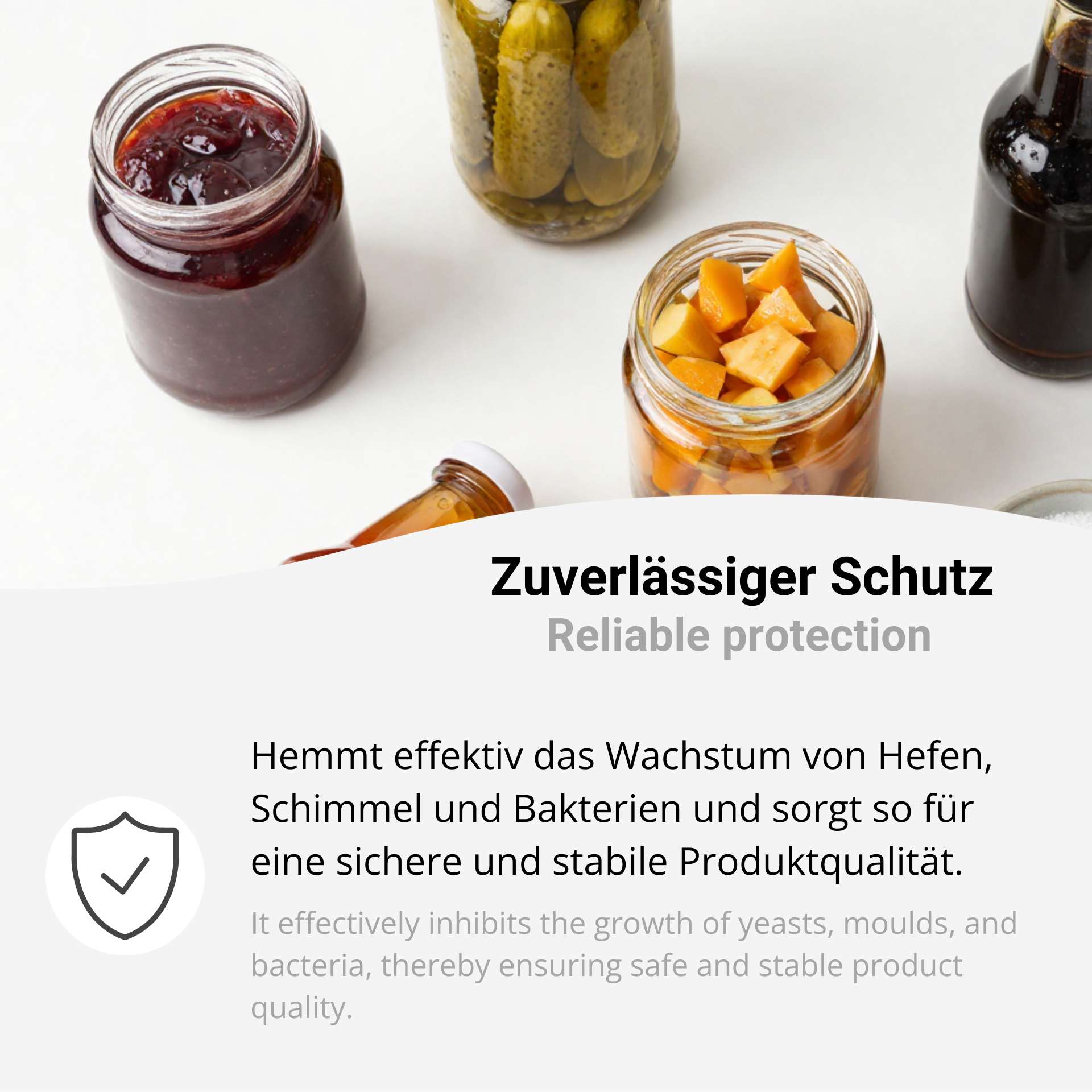 Natriumbenzoat E 211 – Sodium Benzoate