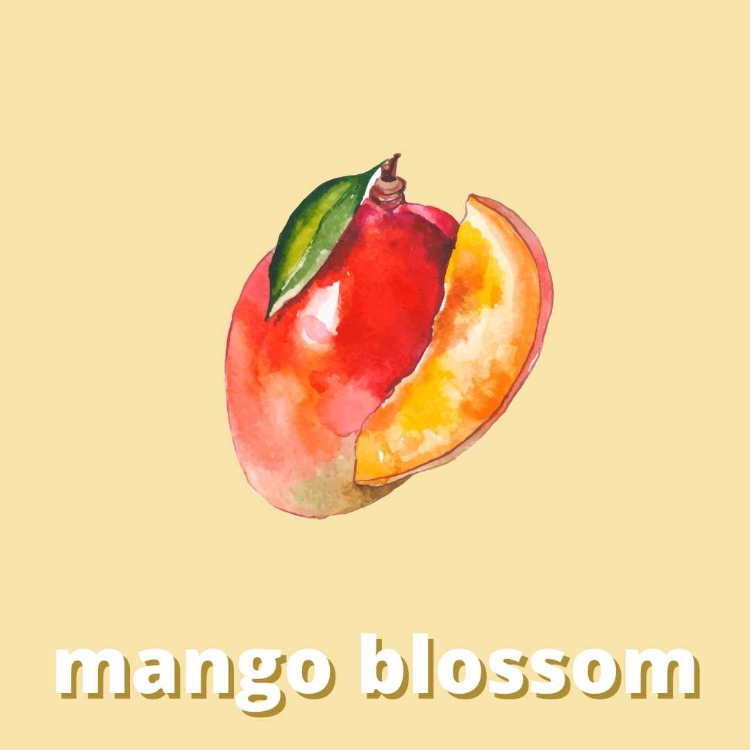 Mango Blossom Duftstoff für Kerzen & Kosmetik