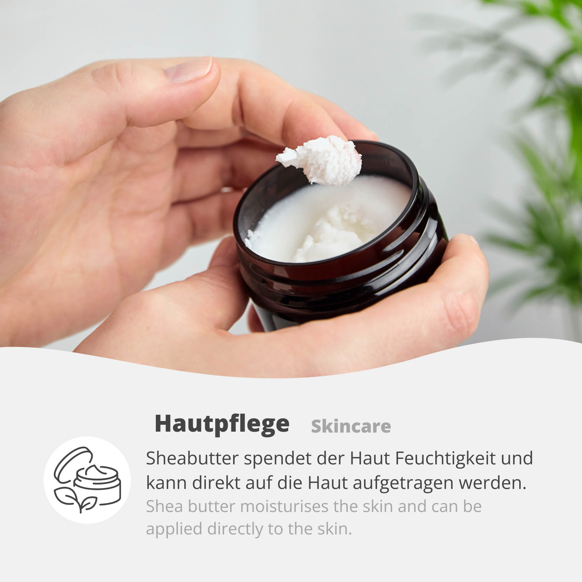 Refined Shea Butter