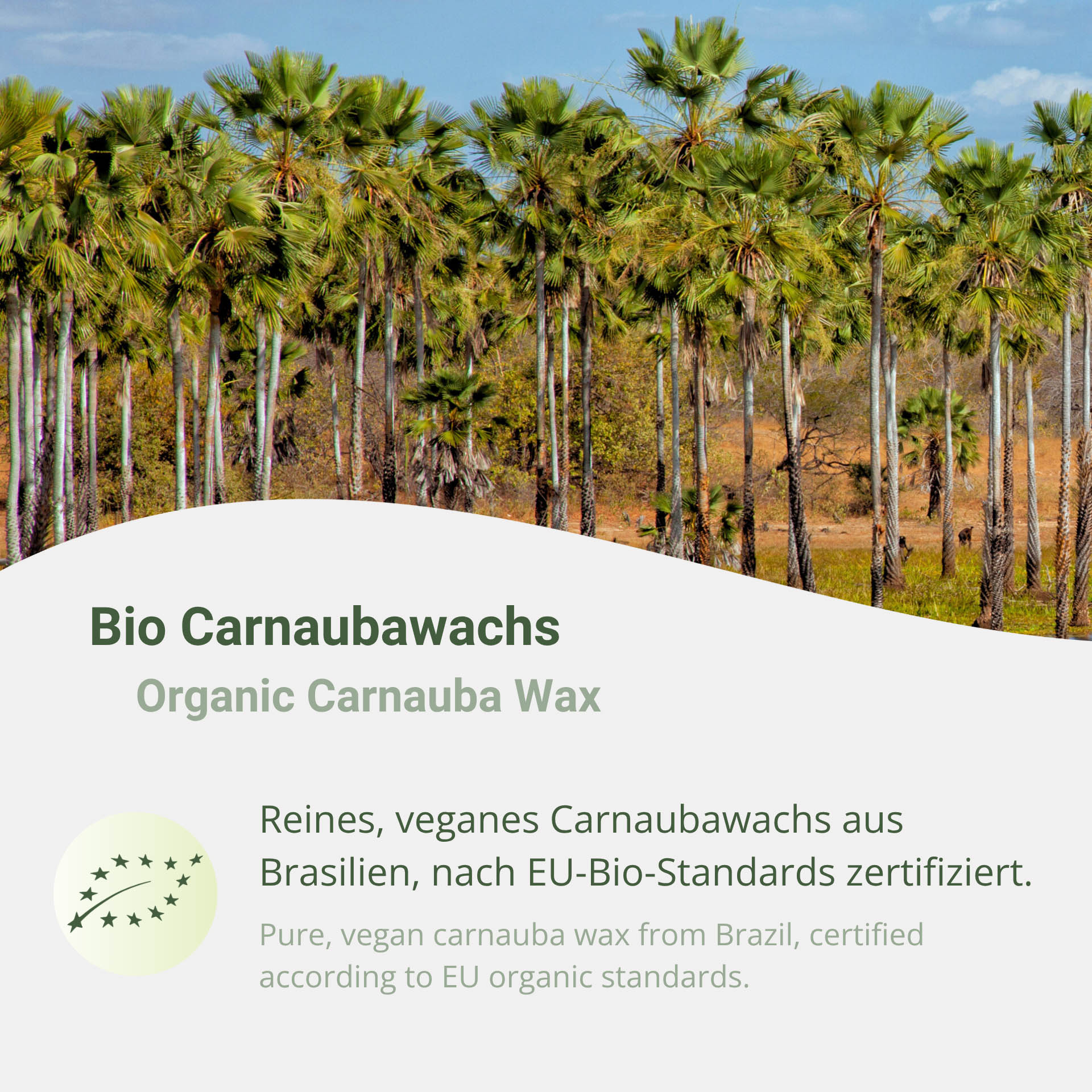 Organic Carnauba Wax T1 Prime Yellow Flakes – Food Grade (E 903)