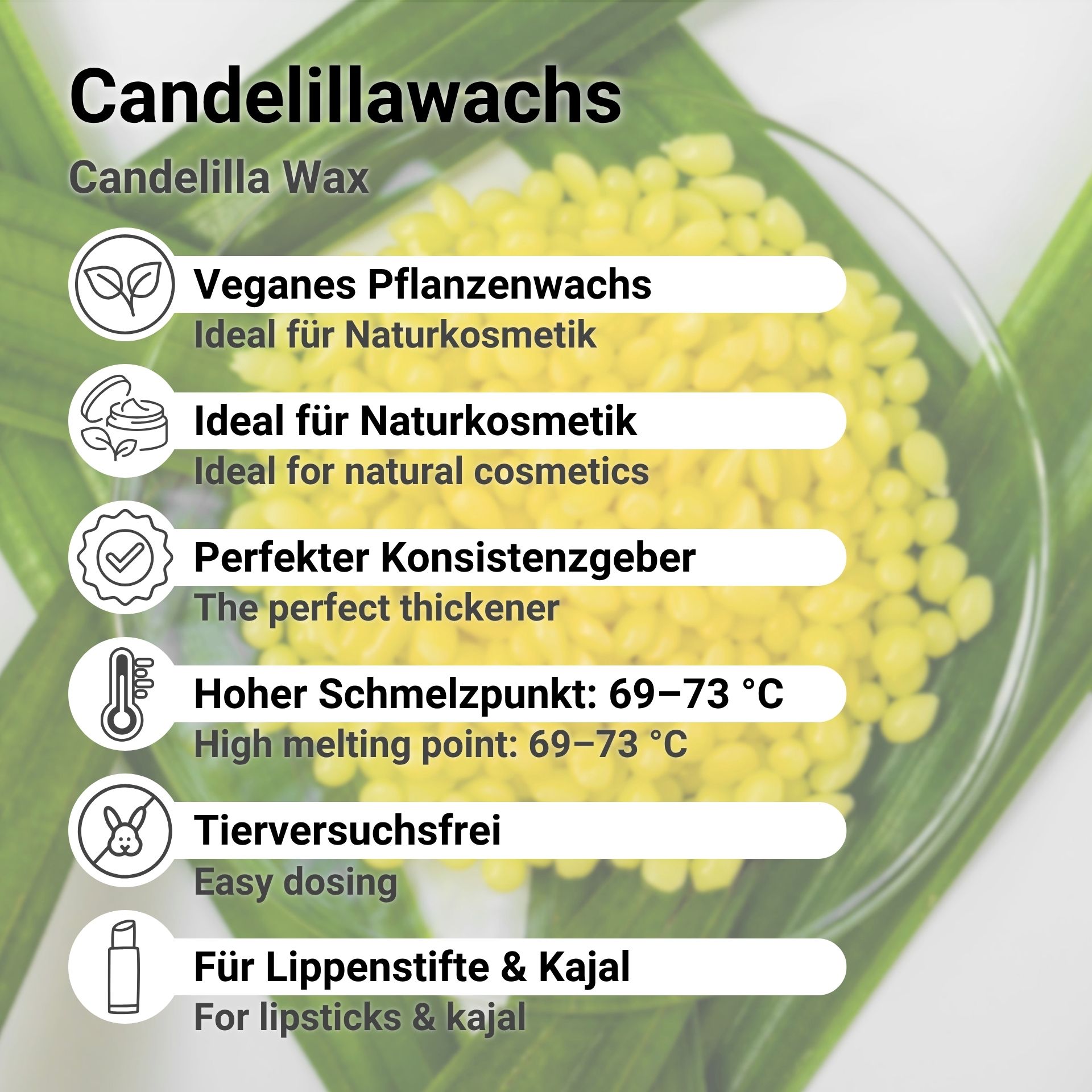 Candelillawachs Pastillen